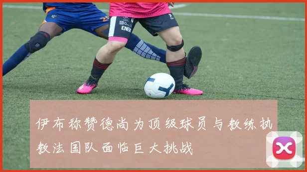 伊布称赞德尚为顶级球员与教练执教法国队面临巨大挑战