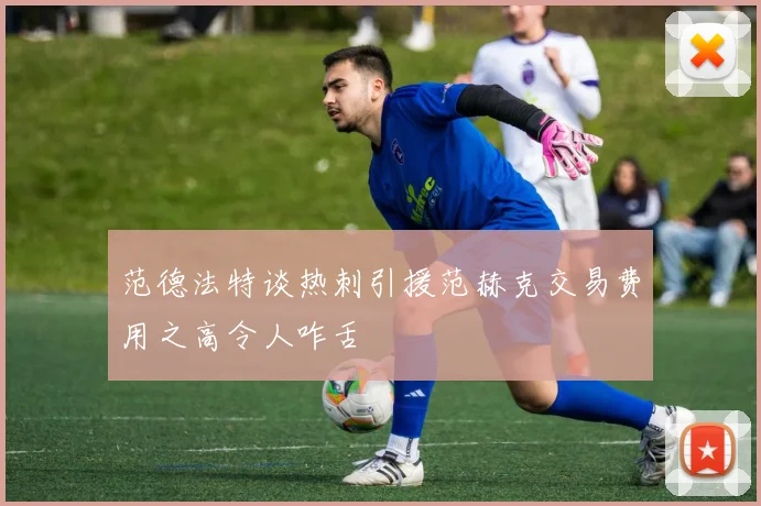范德法特谈热刺引援范赫克交易费用之高令人咋舌