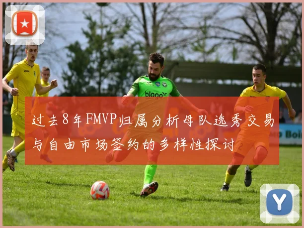 过去8年FMVP归属分析母队选秀交易与自由市场签约的多样性探讨