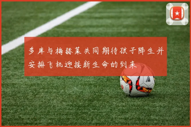 多库与梅赫莱共同期待孩子降生并安排飞机迎接新生命的到来